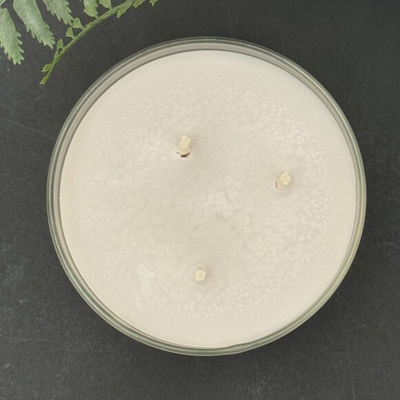 BBW Marshmallow Fireside White Barn Bath & Body Works 3 Wick Candle - Picture 7 of 10